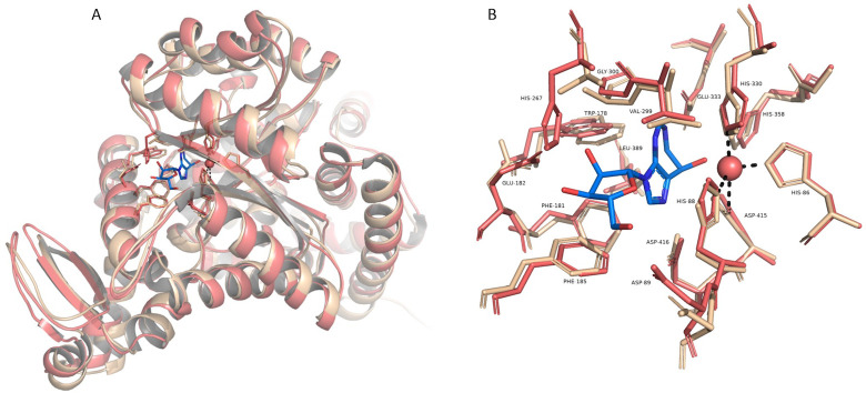 Fig 6