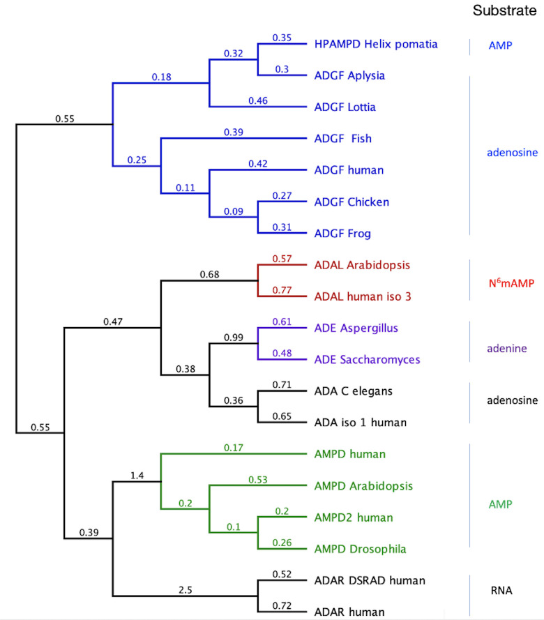 Fig 4