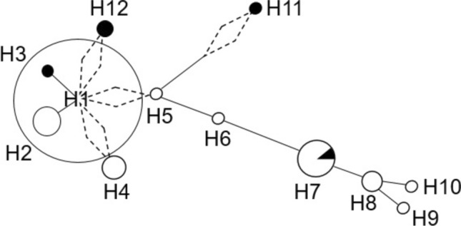 Fig. 2