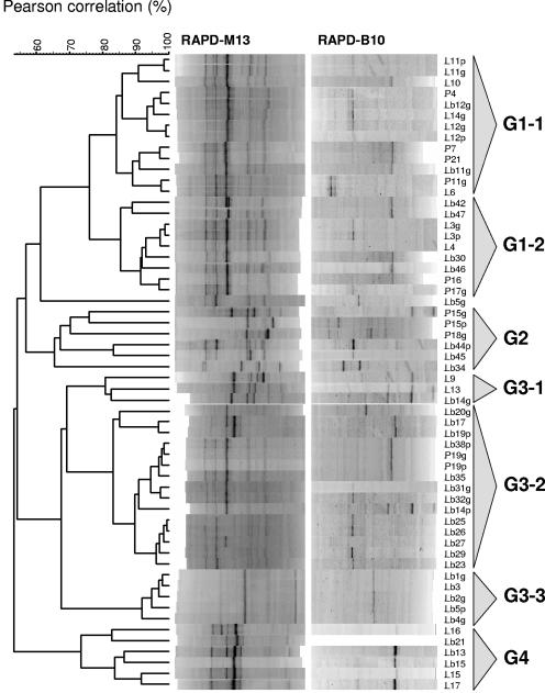 FIG. 2.