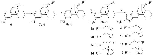 Scheme 1