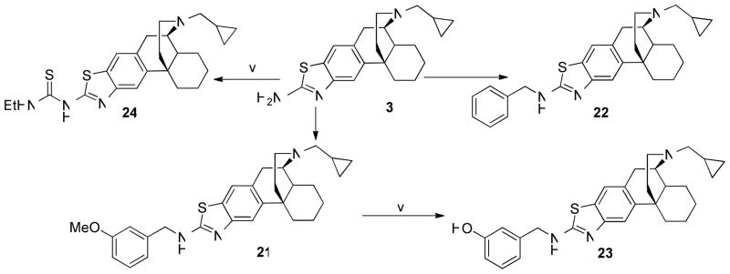 Scheme 3