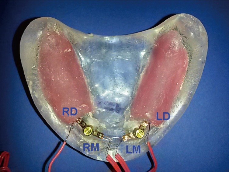 Fig. 3