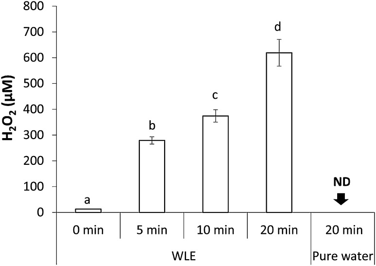 Fig. 7