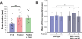 Figure 3—figure supplement 1.