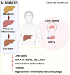 Graphical Abstract