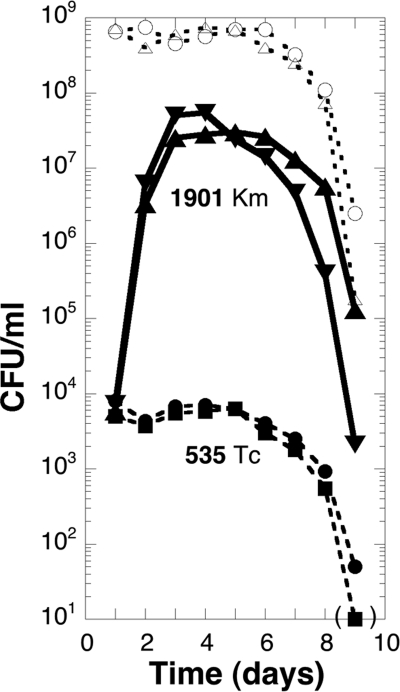 Fig 2