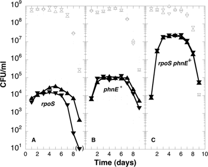 Fig 5