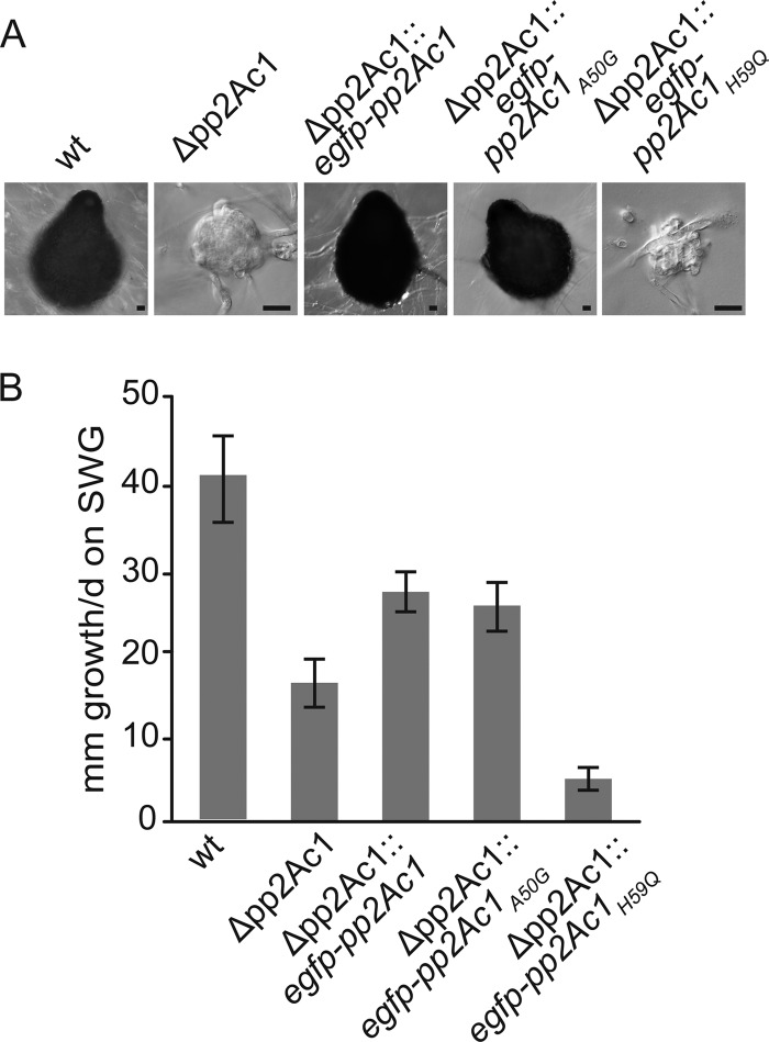 FIG 6 