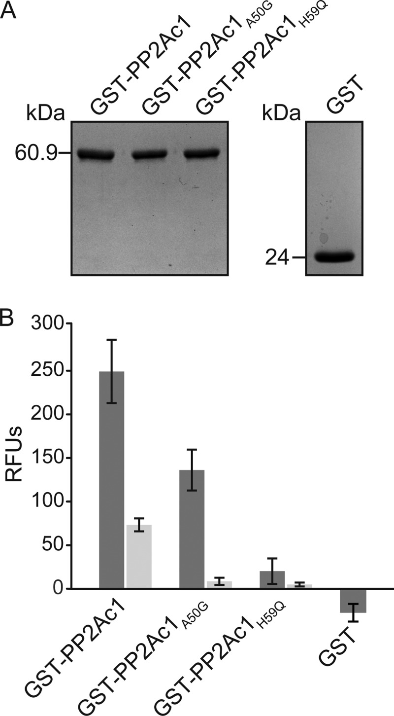 FIG 5 