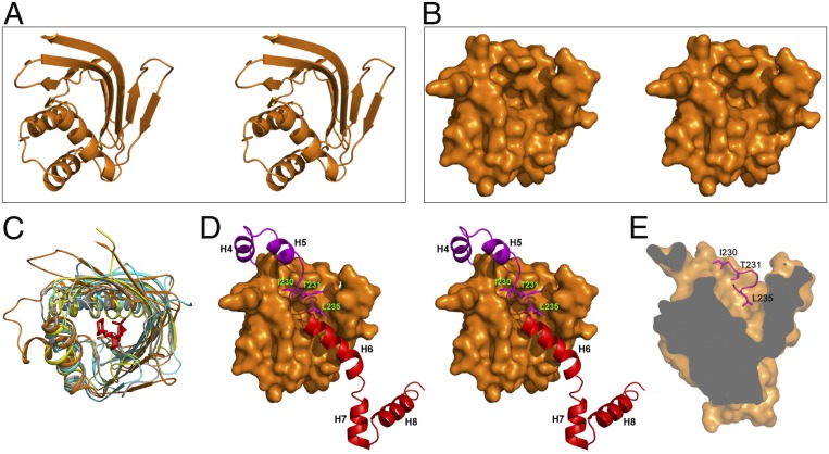 Fig. 6.