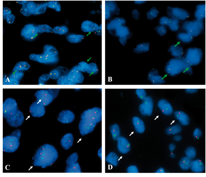 FIGURE 1.