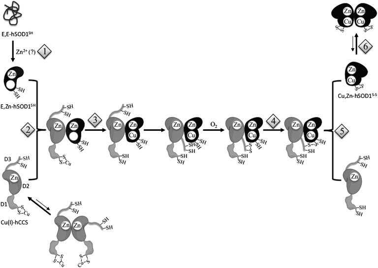 Fig. 5.