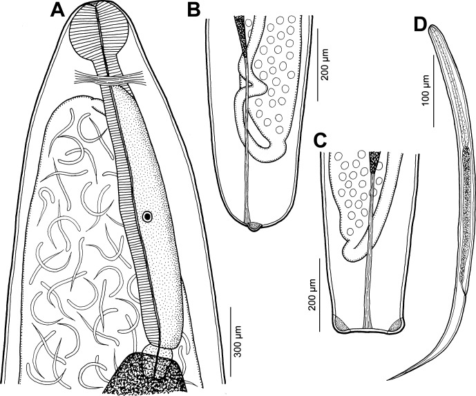 Figure 4.