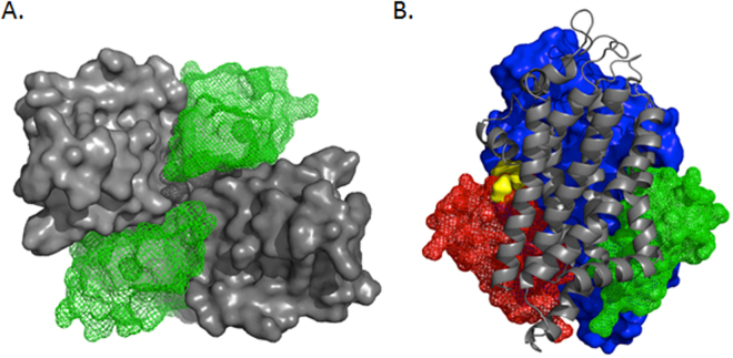 Figure 7