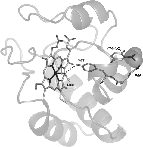 FIGURE 7.