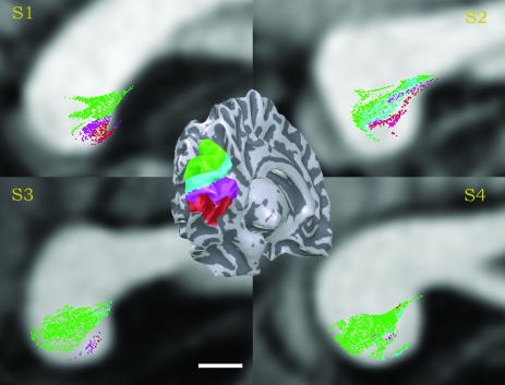 Fig. 4.