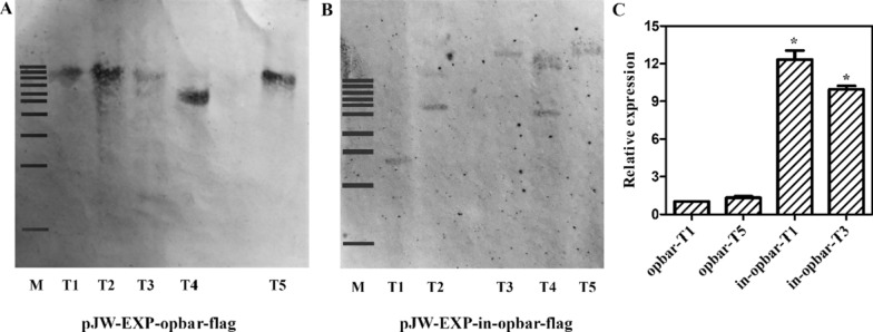 Fig. 3