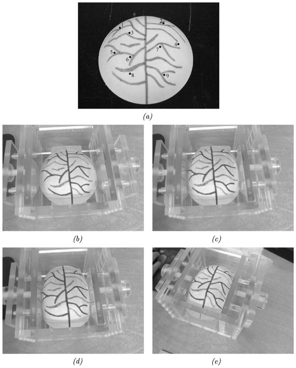 Fig. 8