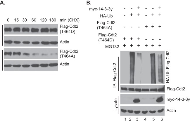 FIG 6