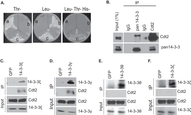 FIG 1