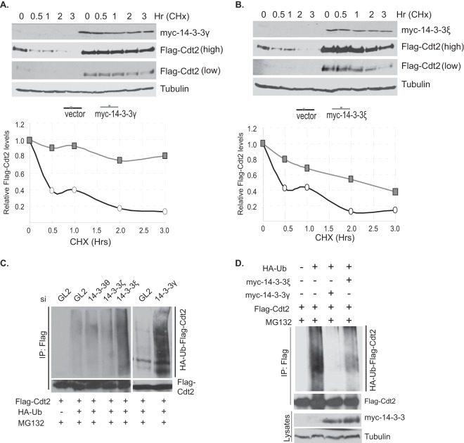 FIG 4