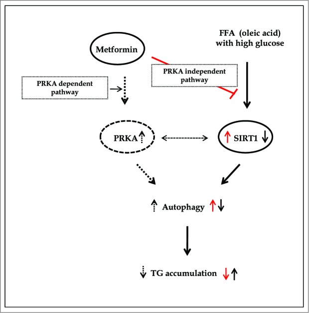 Figure 10.