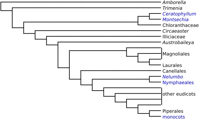 Fig. S4.