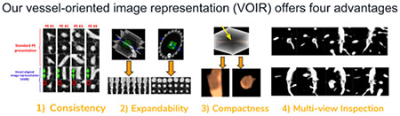 graphic file with name nihms-1537127-f0016.jpg