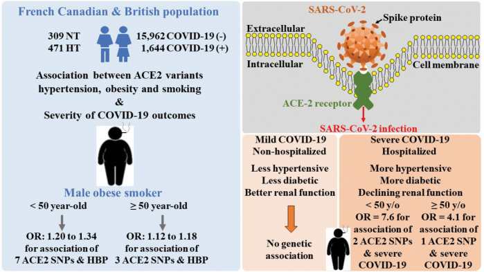 Graphical Abstract