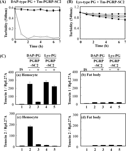 FIGURE 7.