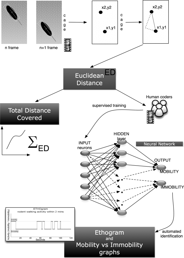 Fig. 1.