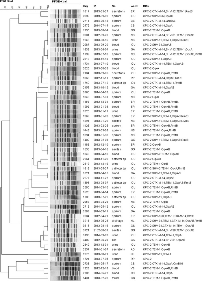 Fig. 1