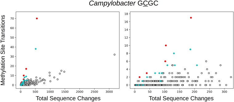 FIG 6