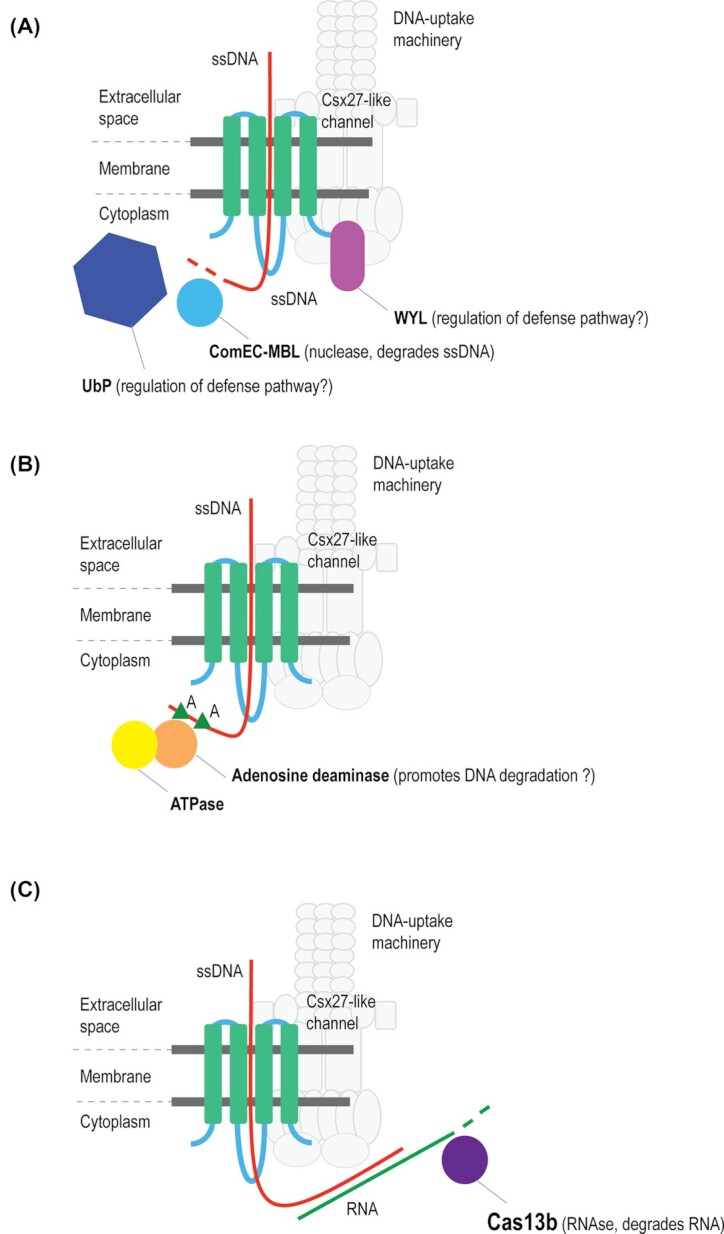 Figure 2.