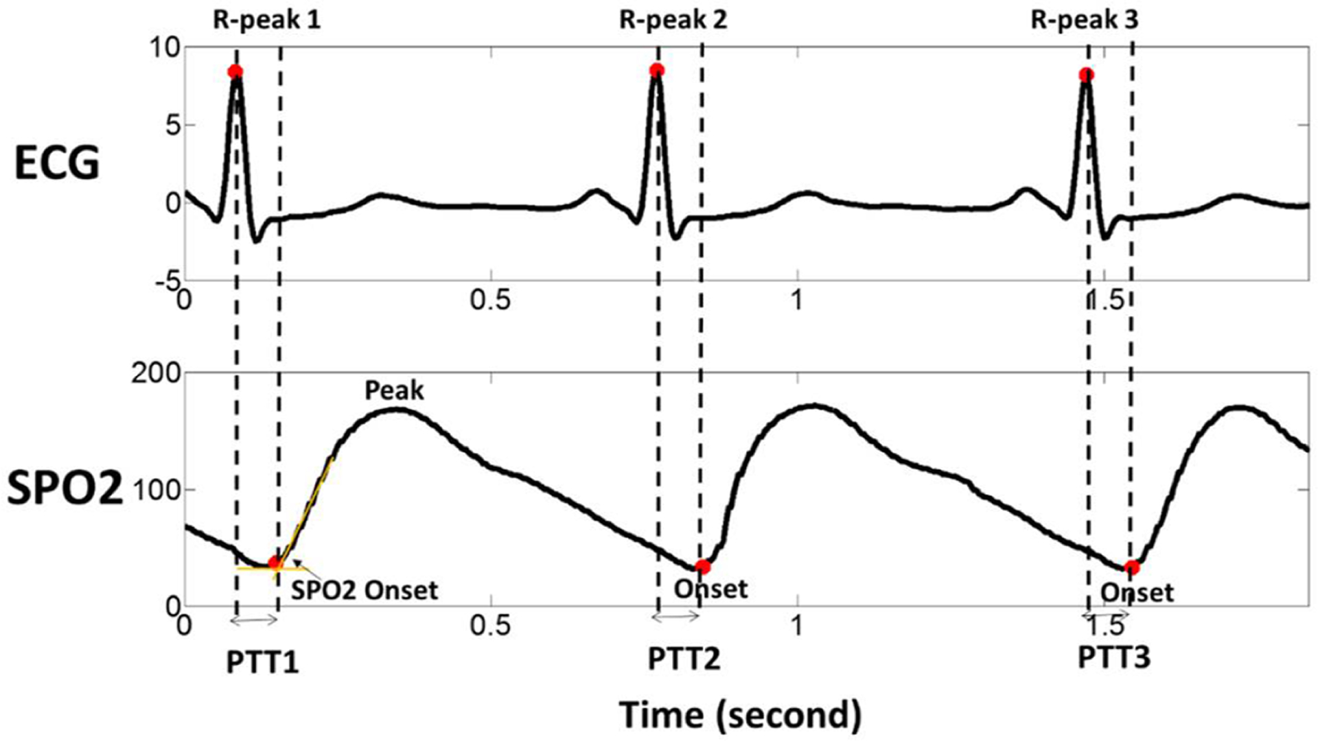 Fig 1.