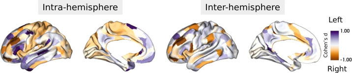 Figure 2—figure supplement 2.