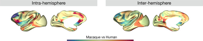 Figure 4—figure supplement 1.