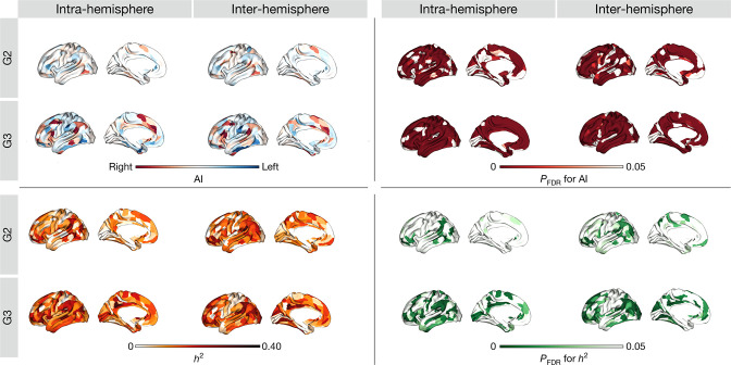 Figure 3—figure supplement 1.