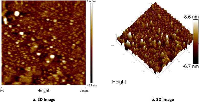 Fig. 8