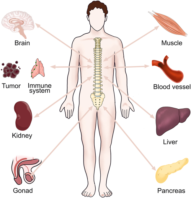 Figure 1: