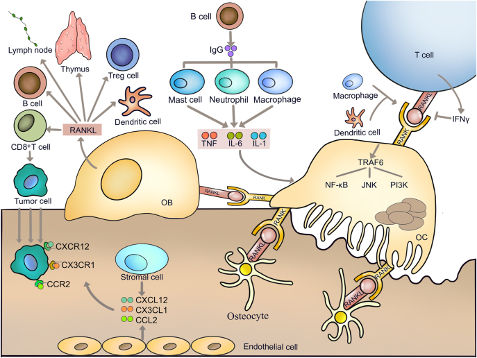 Figure 4: