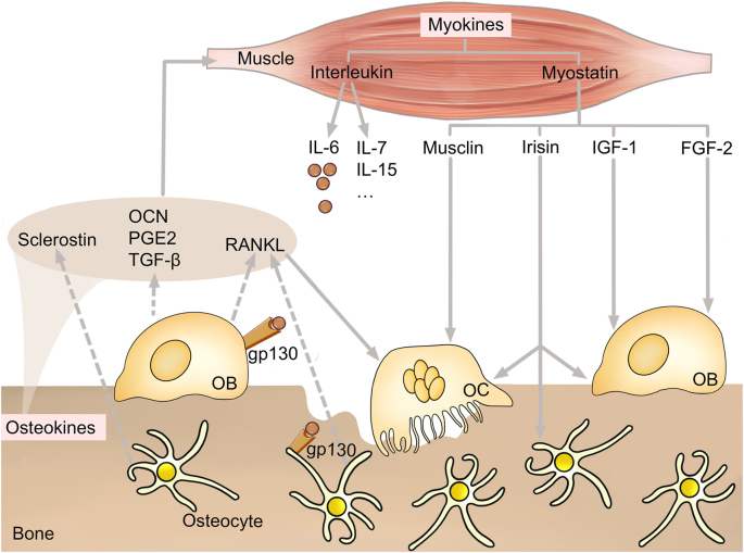 Figure 2: