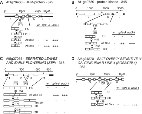 Figure 7.