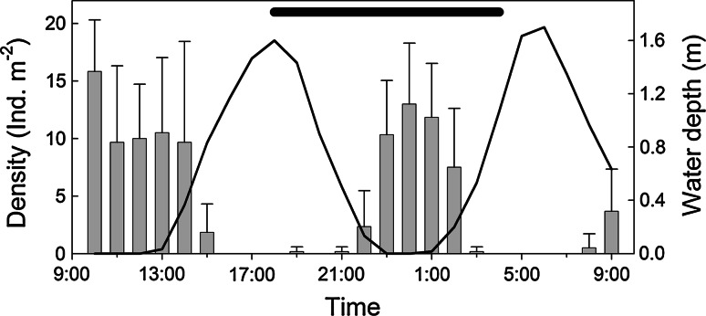 Fig. 2