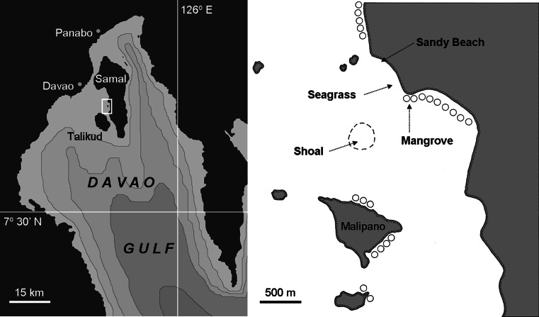 Fig. 1