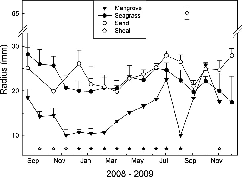 Fig. 4