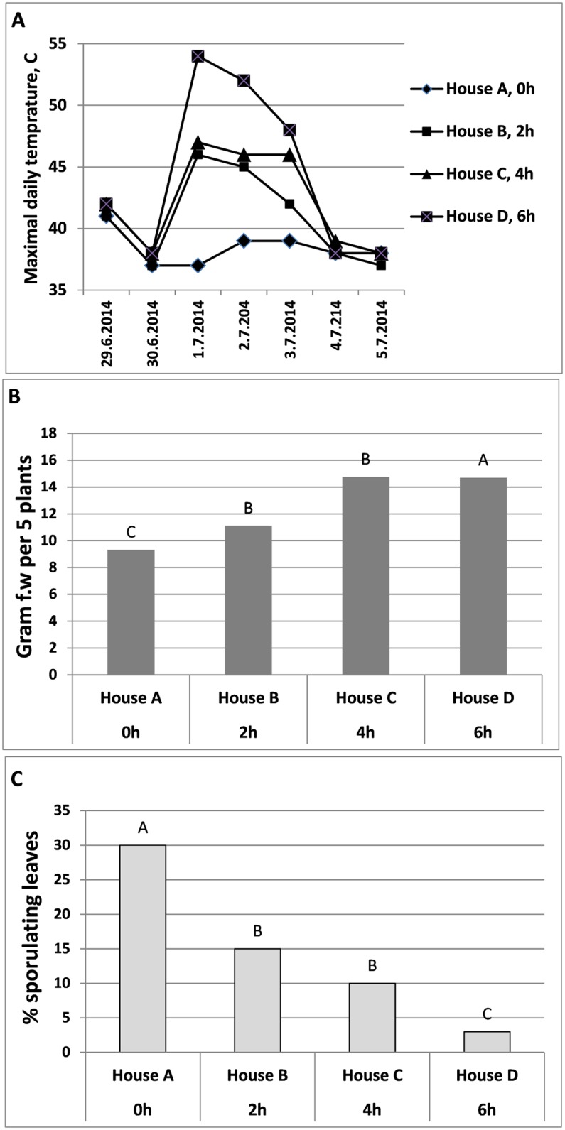 Fig 12