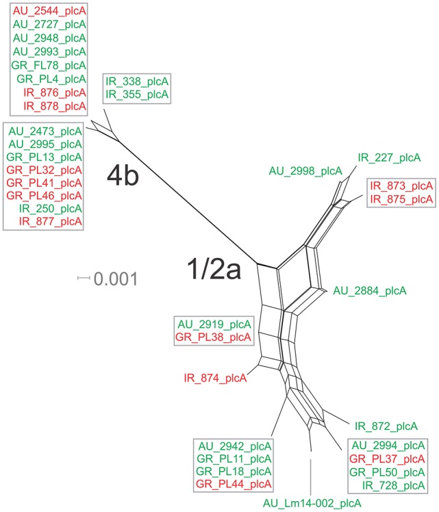 Figure 4