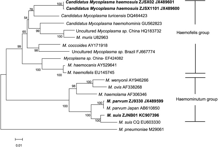 Fig. 3.